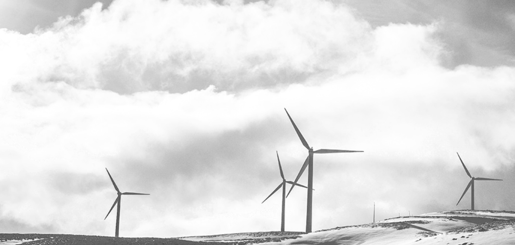 Photograph of windmills