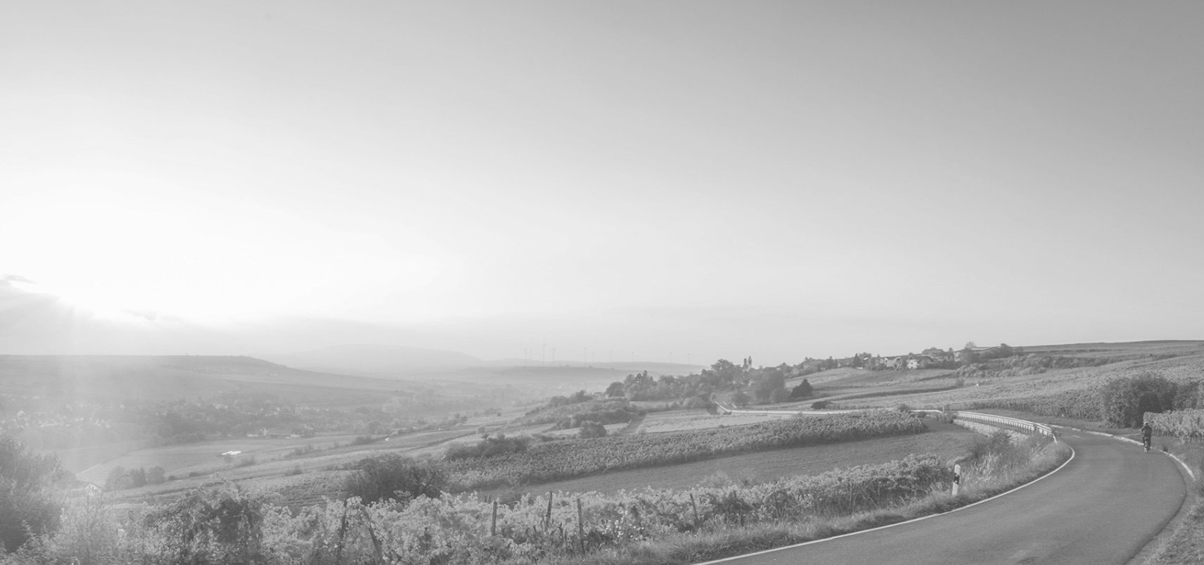 Photograph of a curving country road